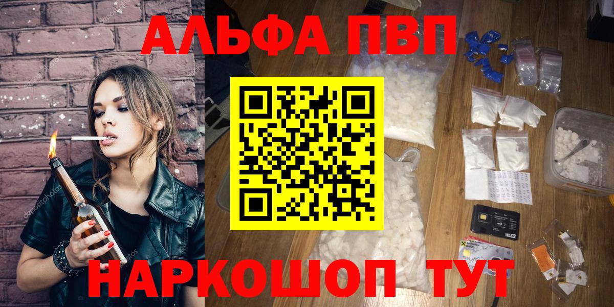 Alfa_PVP СК КРИС  Луга 