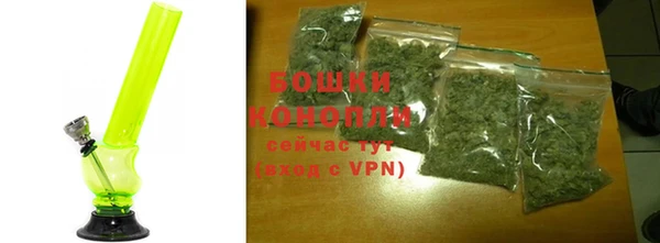 дурь Надым