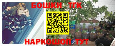 кокс Донской