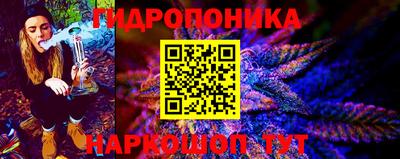 кокс Донской