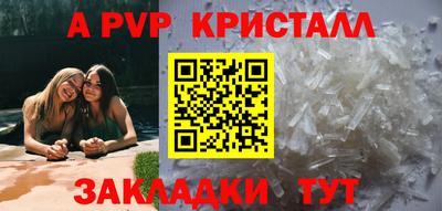 кокс Донской