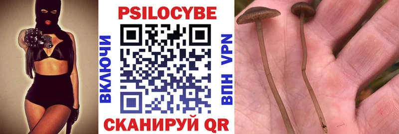 mega tor  Луга  Галлюциногенные грибы MAGIC MUSHROOMS 