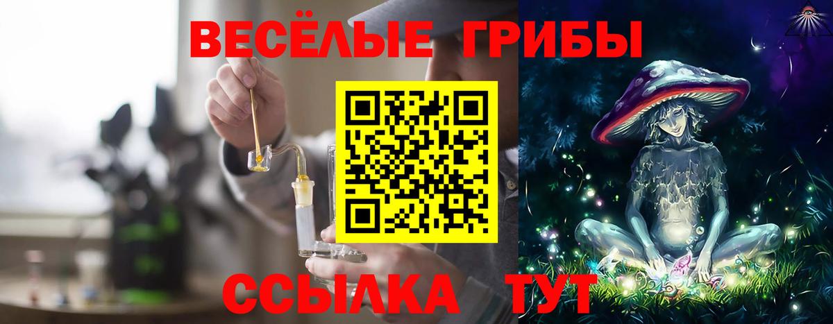 Галлюциногенные грибы Psilocybe  Луга 