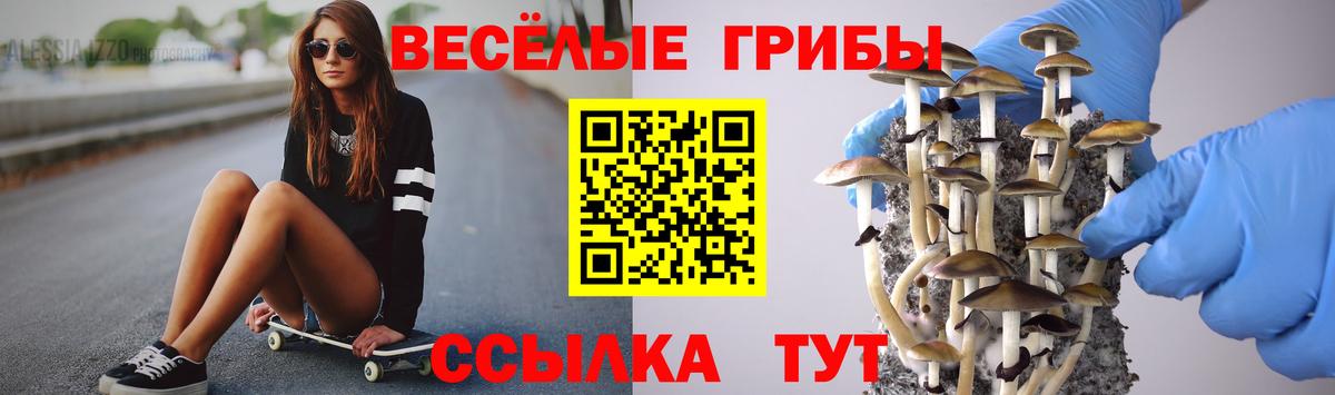 как найти закладки  Вход с VPN  Луга  Псилоцибиновые грибы Cubensis 