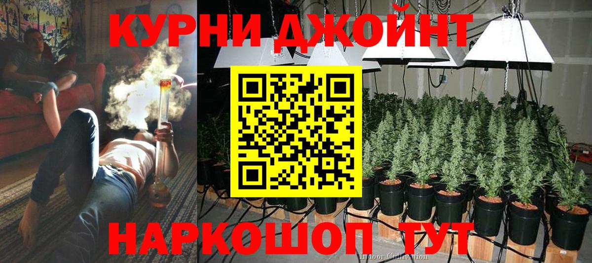 Конопля SATIVA & INDICA  Вход с VPN  Луга  Бошки Шишки THC 21%  Конопля ГИДРОПОН 